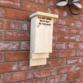 Bat Box