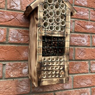 Bug Box